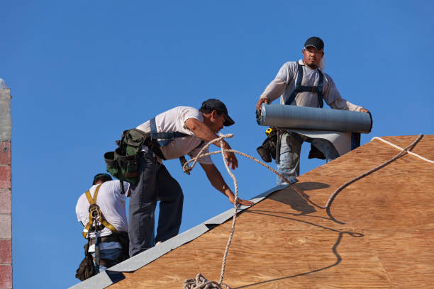 Best Roof Maintenance Services  in Middlesborough, KY