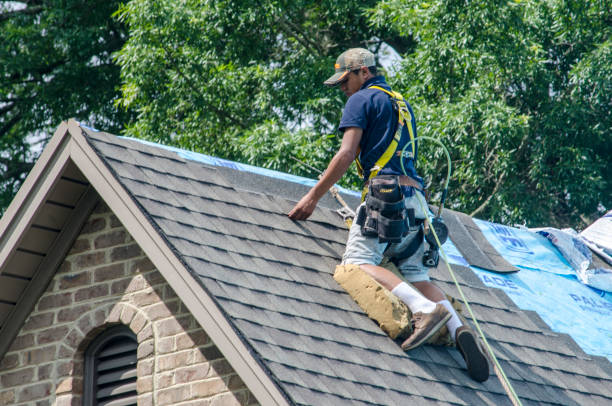 Best Metal Roofing Contractor  in Middlesborough, KY